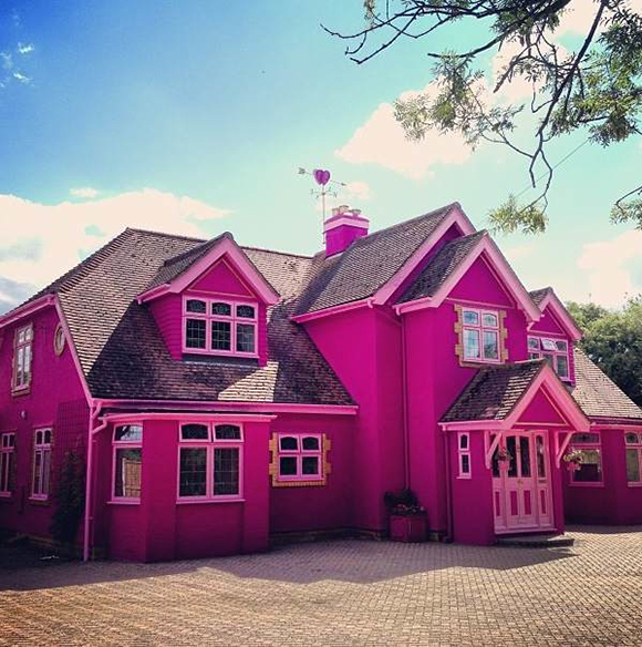 THE PINK HOUSE - Sophie Hannah