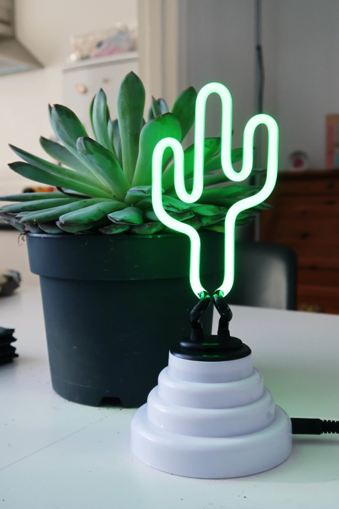 Joy the store cactus light