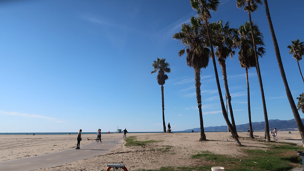 things to do in LA venice beach