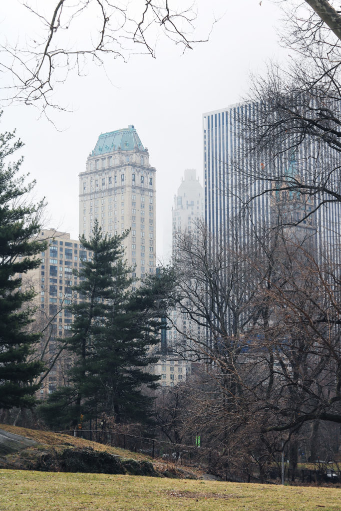 nyc itinerary central park