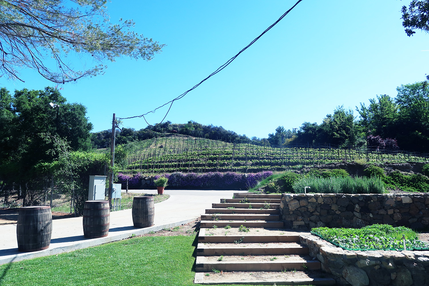 calamigo ranch malibu