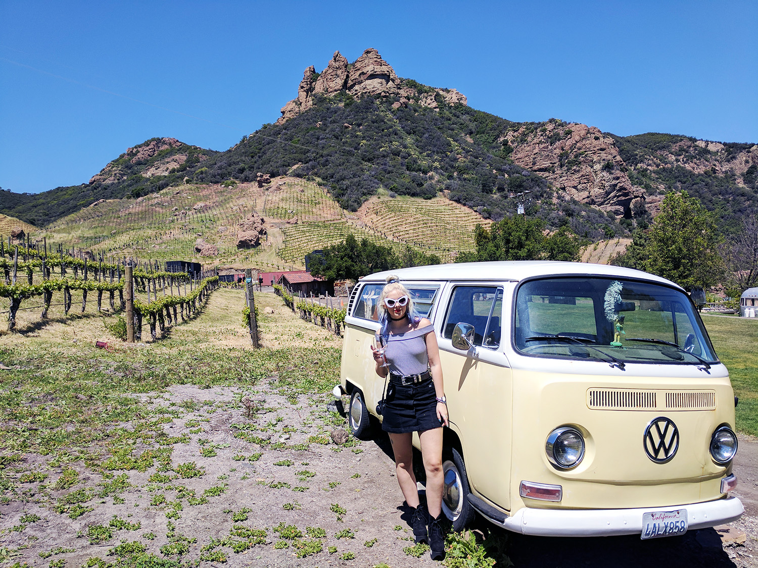malibu wine safari