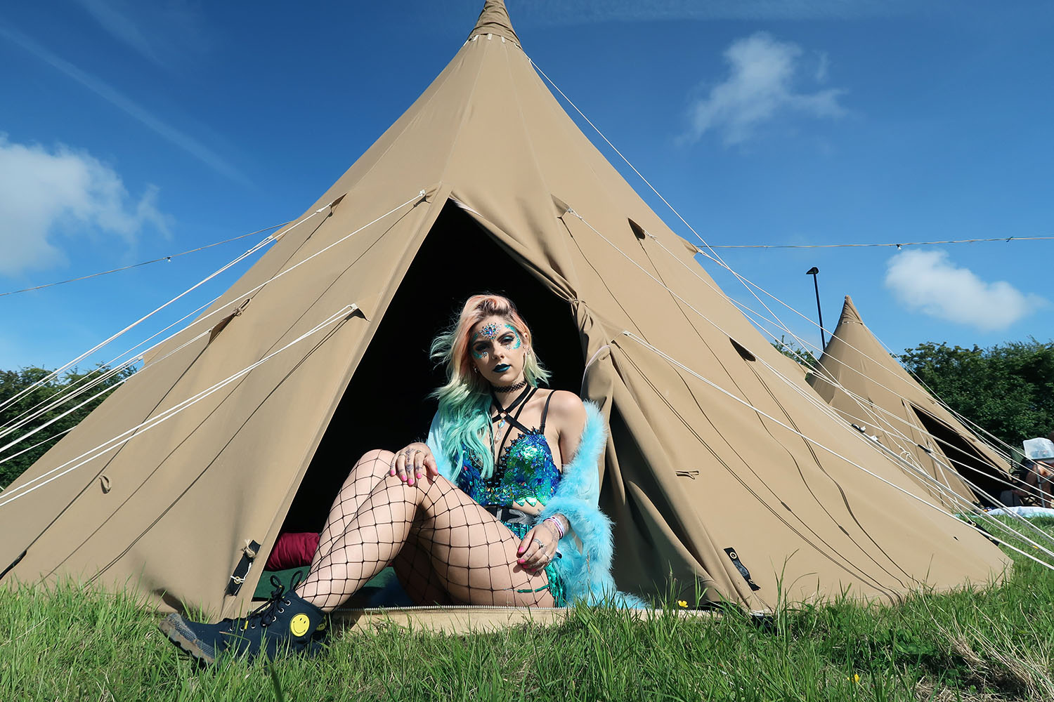 isle of wight festival