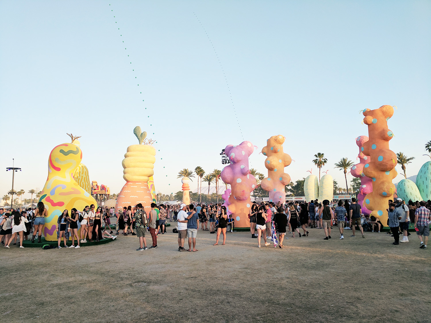 coachella festival