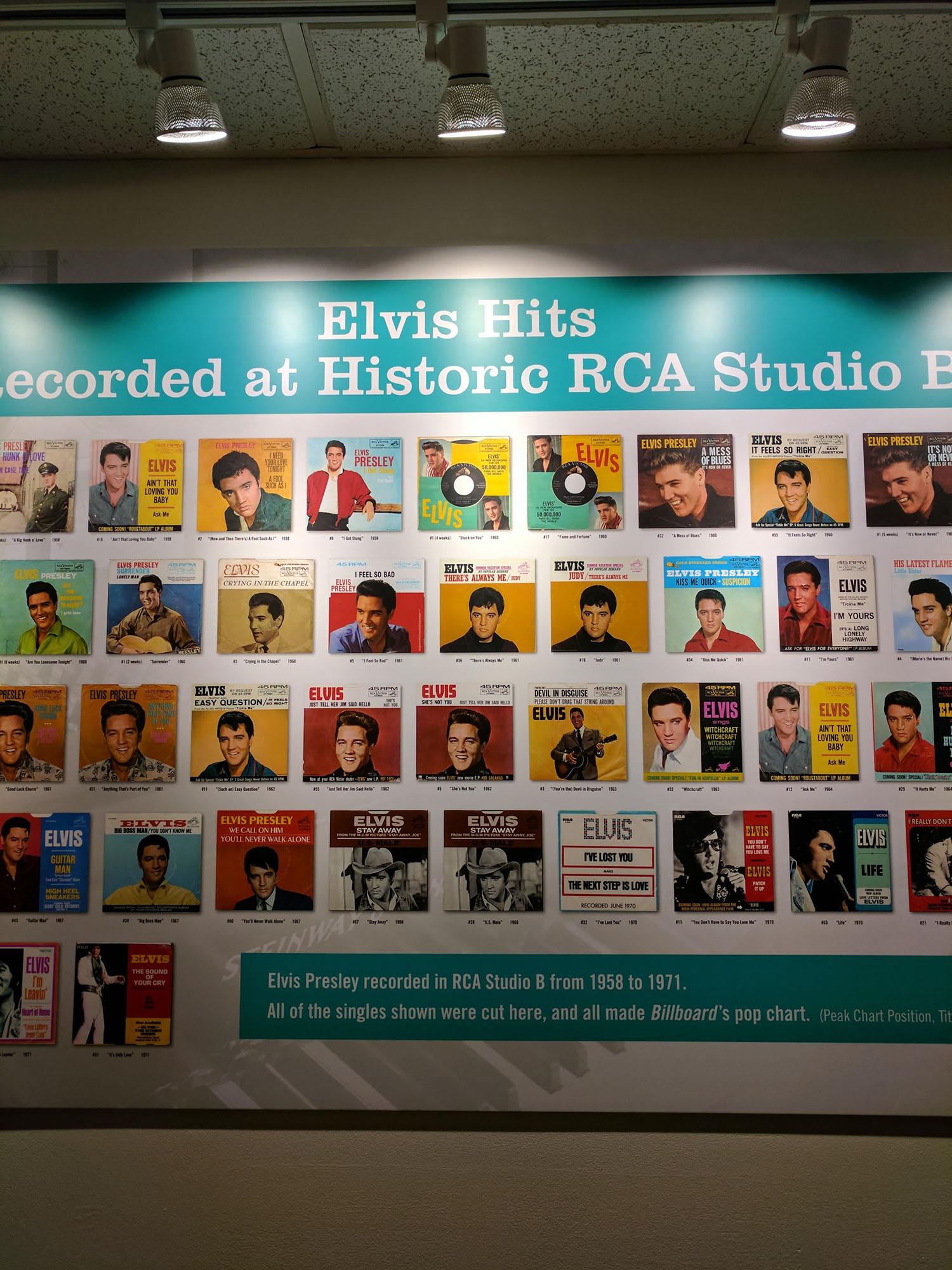 trek america nashville