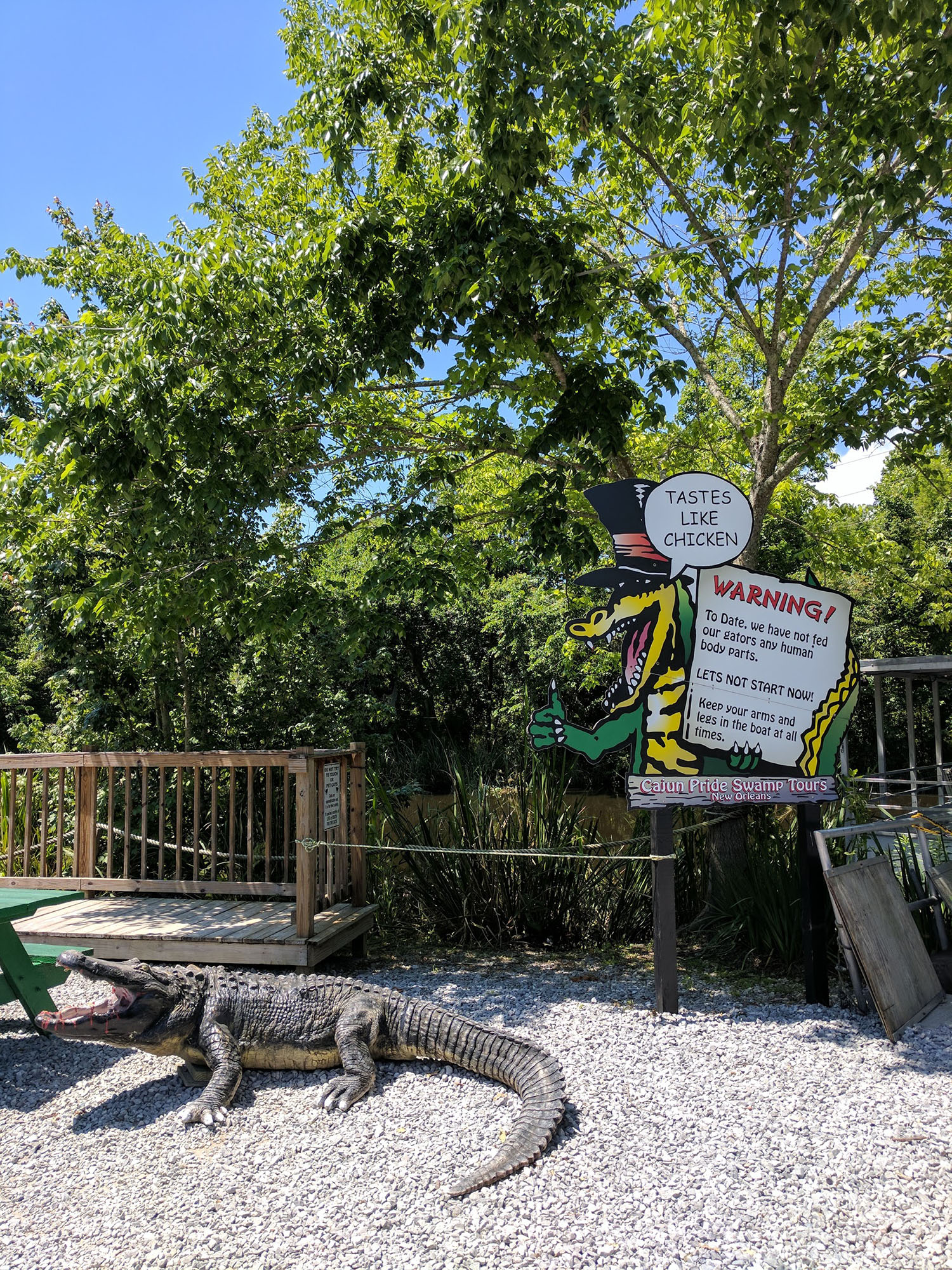 swamp tour mississippi